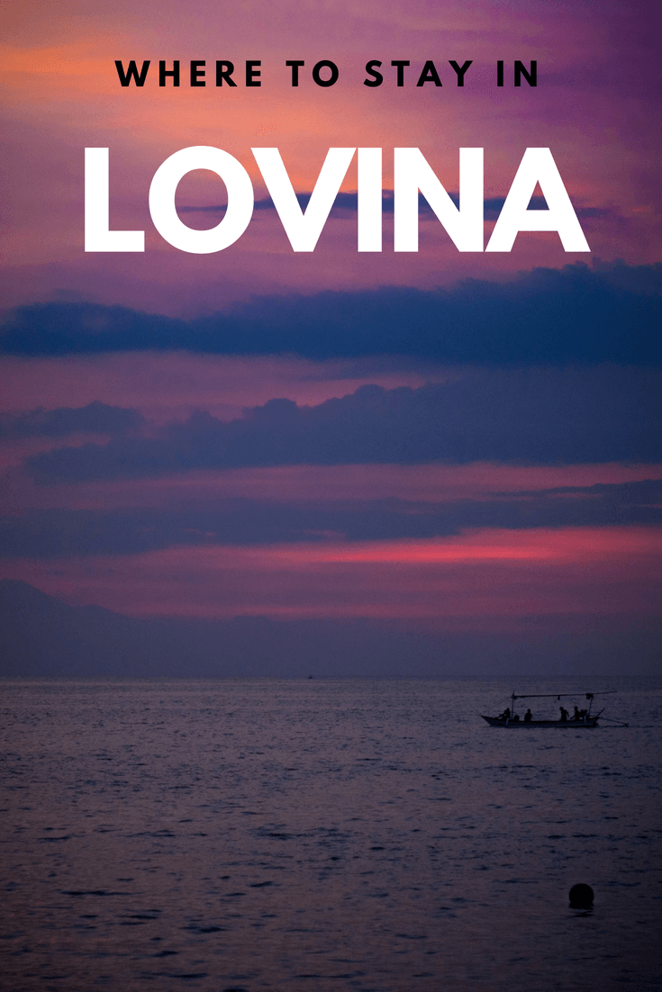 Best places to stay in Lovina pin