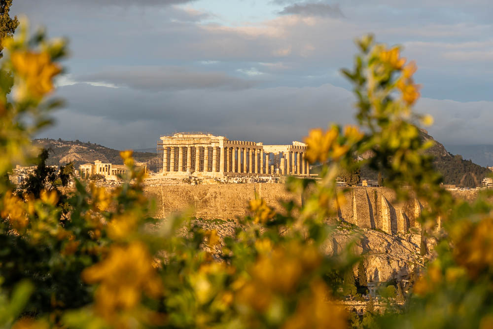 View between flowers of the Acropolis