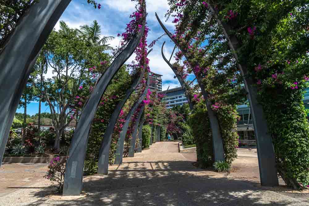 Flowery arch in Brisbane Southbank a great area to stay in the CBD