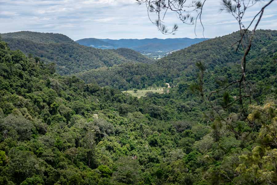 Beautiful view of rainforests and mountains close to Maleny and nearby accommodation