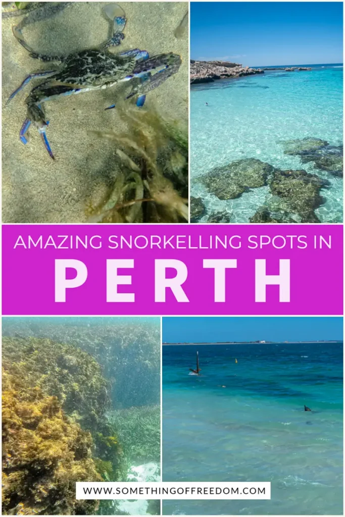 Amazing snorkelling spots in Perth pin